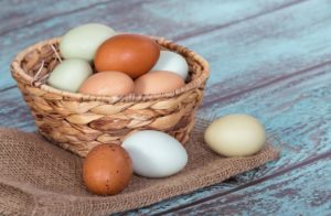 Как правильно выбирать куриные яйца